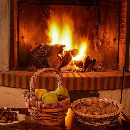 Hotel Los Castanos 阿拉色那 外观 照片